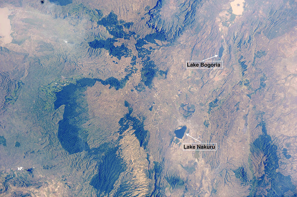 Lesser Flamingo feeding and resting habitats in the Rift Valley Lakes, Kenya. (Credit: NASA)