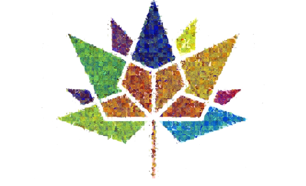 Let's celebrate the 150th anniversary of Canada: the official Canada 150 logo created using sections from the RADARSAT-2 mosaic of Canada.