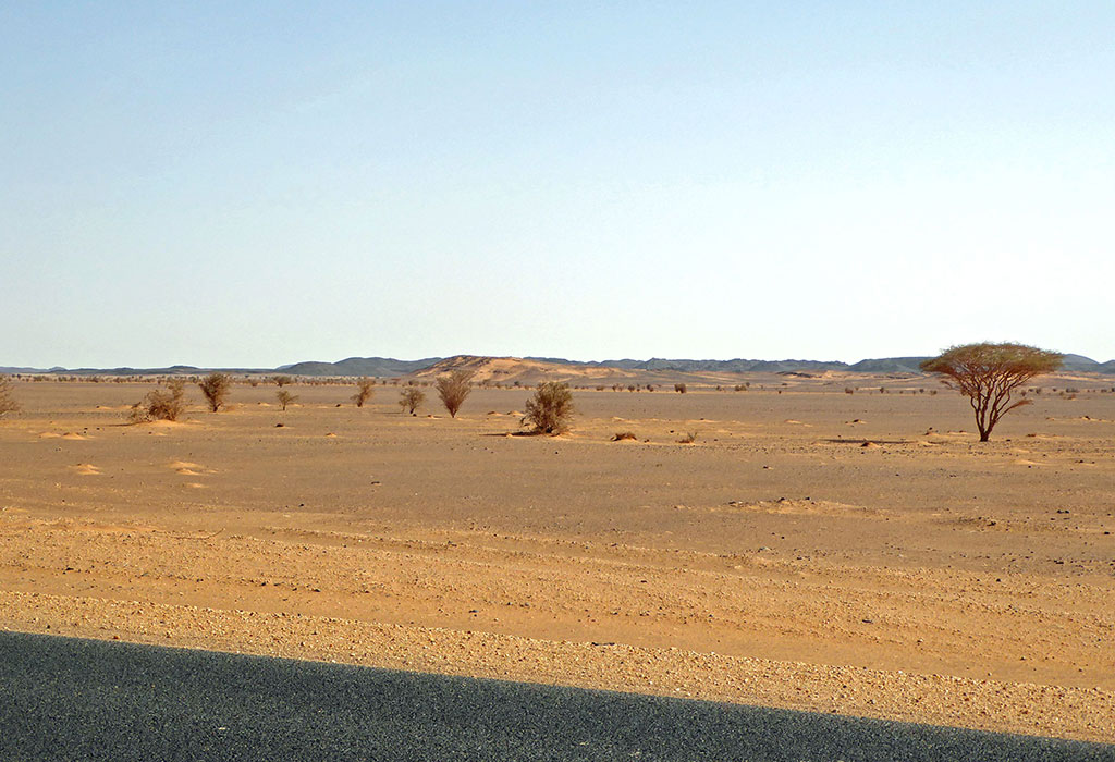 Desertification in the Nubian desert. (Credit: Hans Birger Nilsen)