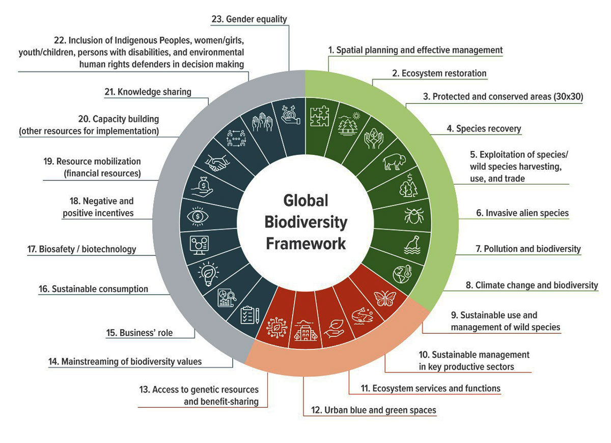 Overview of the 23 targets of the Global Biodiversity Framework