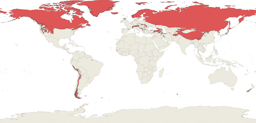 World map showing required coverage in red