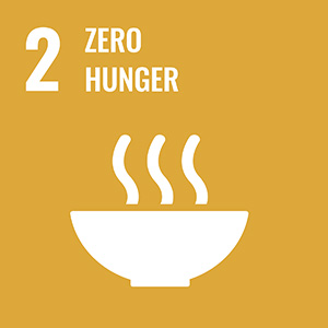 Icon 2 zero hunger