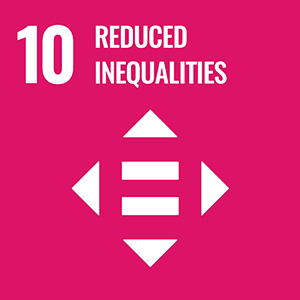 Icon 10 reduced inequalities