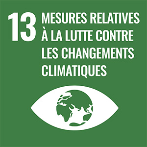 Icône 13 mesures relatives à la lutte contre les changements climatiques