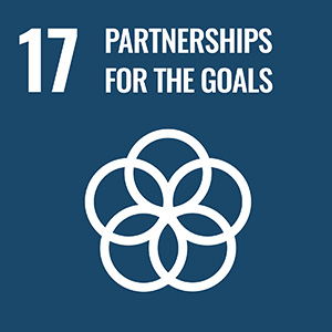 Icon 17 partnerships for the goals