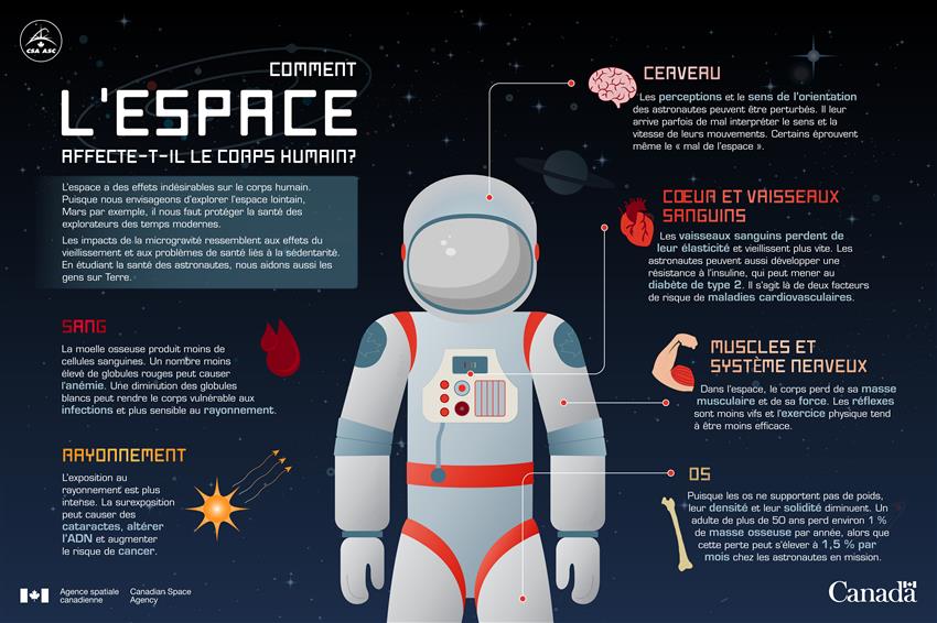 Comment l'espace affecte-t-il le corps humain - Infographie