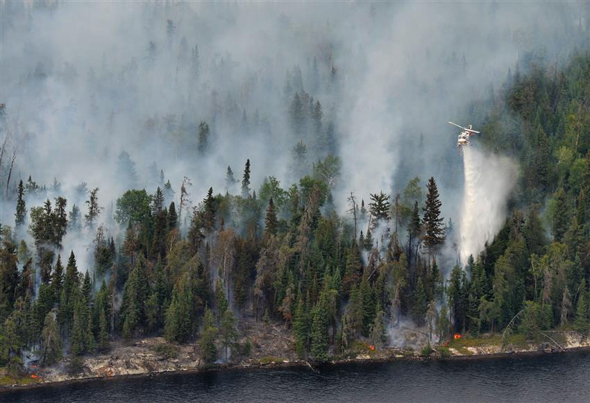 Hélico-citerne larguant de l'eau sur un feu de forêt de conifèresd'où se dégage beaucoup de fumée