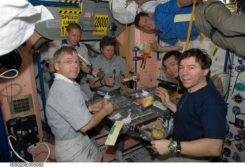 The Expedition 20 crew members