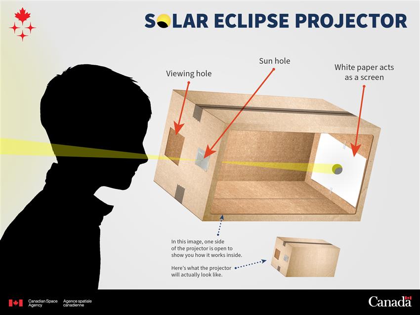 Activity illustration of Build your own projector to watch solar eclipses safely