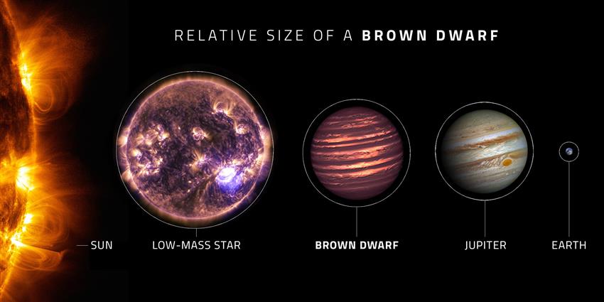 Relative Size Of A Brown Dwarf Infographic Canadian Space Agency