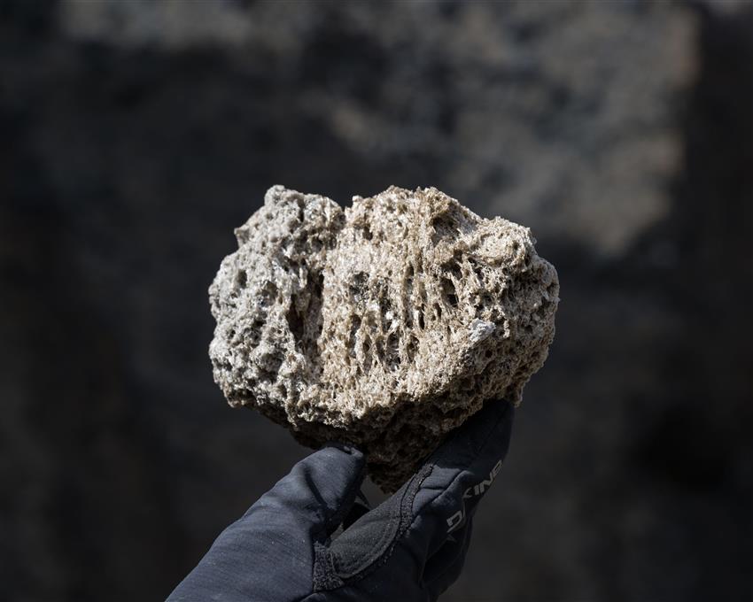 Gros plan d'un rocher percé de petits trous, tenu dans la main d'une personne.